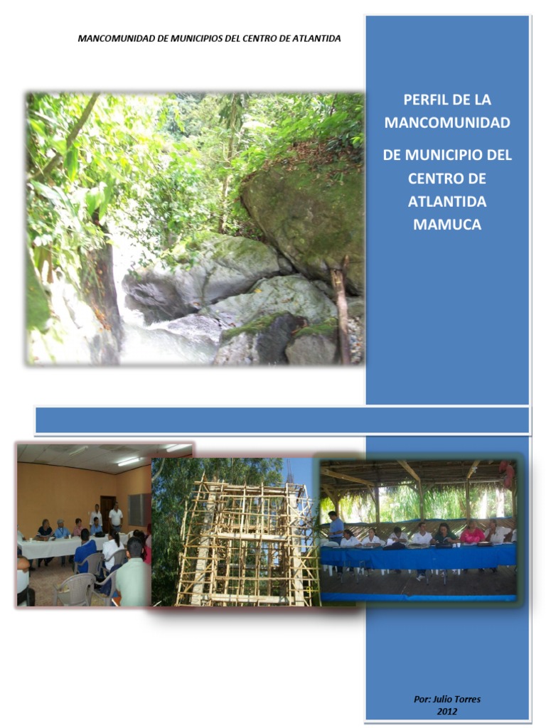 Perfil de La Mamuca | PDF | Desarrollo sostenible | Alcalde