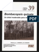 Bombacopsis Quinata - Un Árbol Maderable para Reforestar