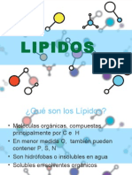 Lipidos y Proteinas