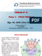 Tema 1 Ciclo Celular