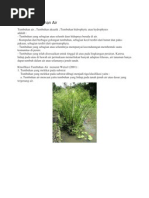 Download campur1 by Ramses Bandal X SN109951678 doc pdf