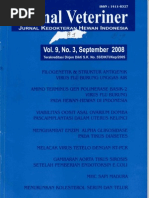 Download Jurnal Veteriner Jurnal Kedokteran Hewan Indonesia No 3 by Errie Ngamplo SN109966616 doc pdf