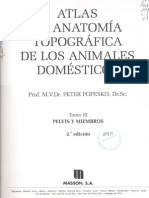 Atlas de Anatomia Topografica de Lo Animales Domesticos - Tomo 3