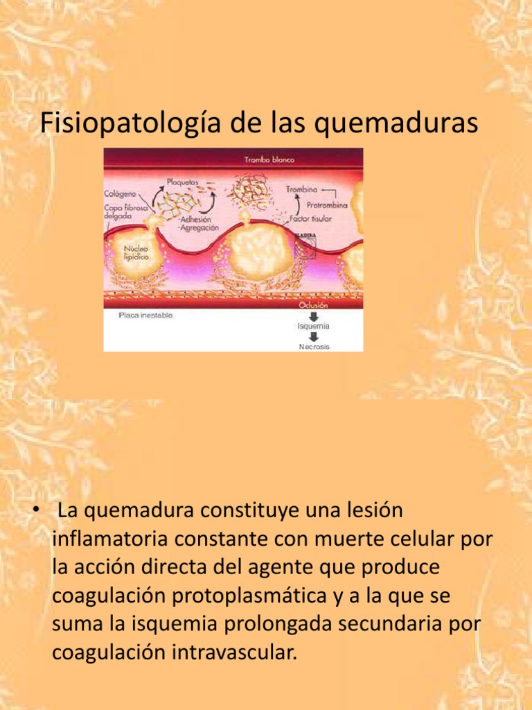 Fisiopatología_de_las_quemaduras Cicatrización de la
