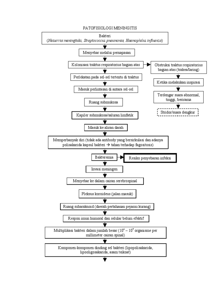 Pathway Meningitis