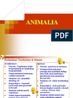 ANIMALIA-Porifera & Coelenterata