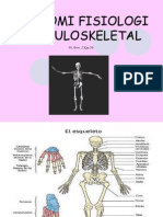 Anatomi Fisiologi Muskuloskeletal