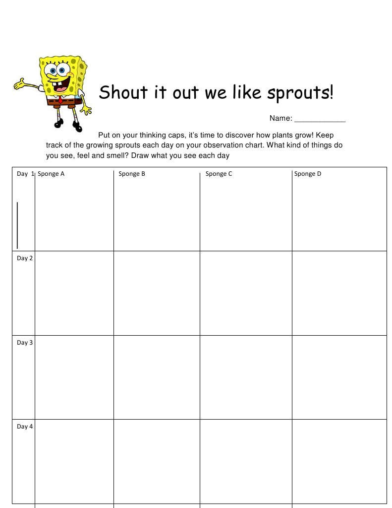 Sprouts Hand Out | PDF
