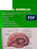 Basal Ganglia