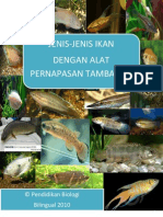 Data Ikan Tugas Bu Ratna