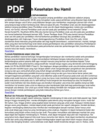 Download Contoh Makalah Kesehatan Ibu Hamil by Nugroho Cahyo W SN110064487 doc pdf