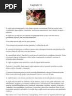 captulo vi- curso de argiloterapia