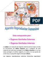 Aparato Reproductor Femenino