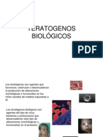 Teratogenos Biologicos