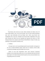 Histologi Kelenjar Saliva