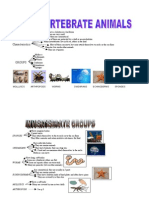 Unit 2 - Vertebrates.