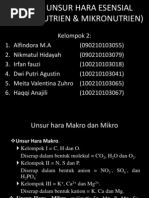 Download Fungsi Unsur Hara Esensial Makronutrien amp Mikronutrien by Putri Memang Seorang Putri SN110165773 doc pdf