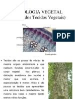 histologiavegetal 011012