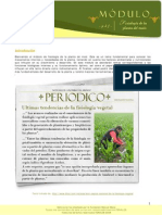 57320368 9 Fisiologia de La Planta de Maiz