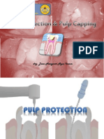 L 3pulp Protection Pulp Capping