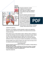 Aparato Respiratorio