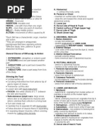 Muscle Origin, Insertion and Action Table | Anatomical Terms Of Motion