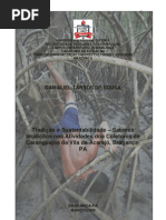 Monografia (Especialização UFPA)