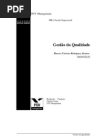 GQ++MBA+FGV+GESTÃO+EMPRESARIAL+FEV+2010