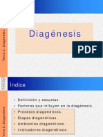 Tema 2 Diagenesis