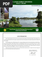 Download Naskah Peta Gambut Indonesia 2011 by tunjung bayu hernawan SN110320116 doc pdf