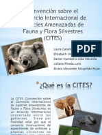 Convenio Sobre El Comercio Internacional de Especies Amenazadas de Fauna y Flora Silvestre