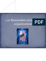1 01 Remember Structural Organization