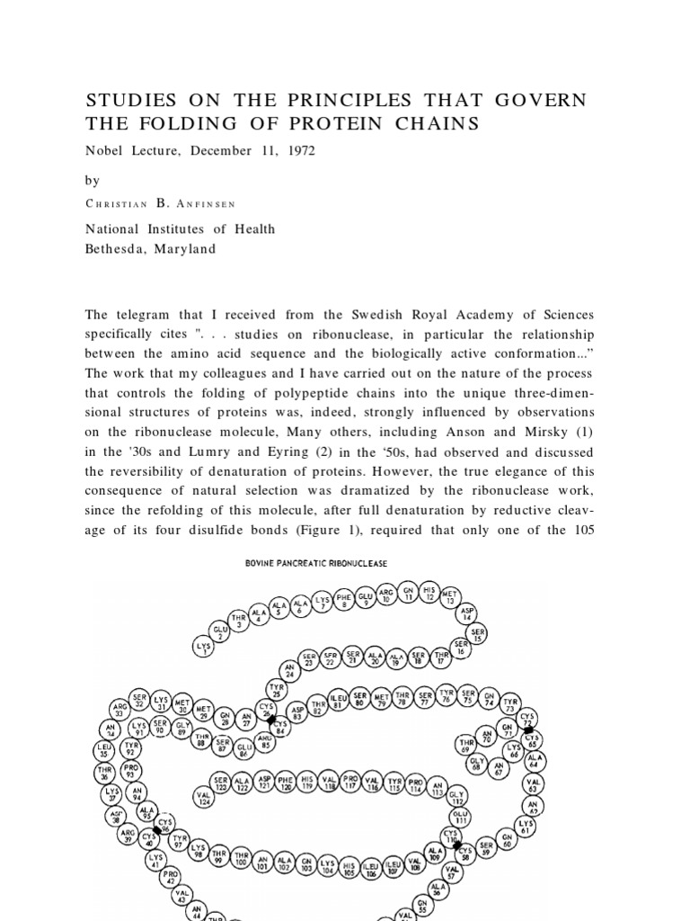 Protein synthesis picture