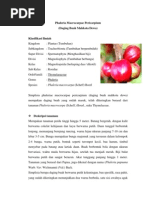 Download Mahkota Dewa by Fahma Farihah SN110398409 doc pdf