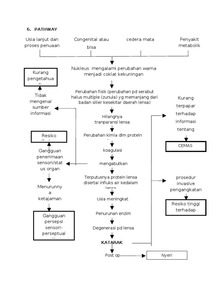 Patofisiologi Katarak pada Lansia | PDF