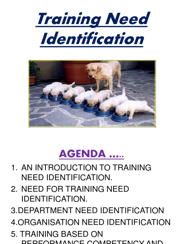Training Need Identification Overview | PDF | Competence (Human ...