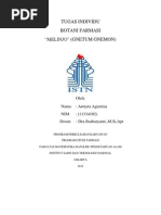 Download TUGAS INDIVIDU by Armyta Agustina SN110446596 doc pdf