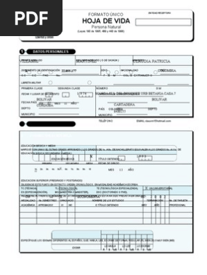 Formato Unico De Hoja De Vida En Word