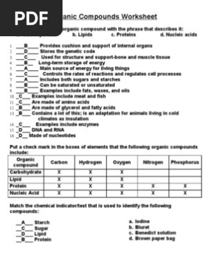 Macromolecules Worksheet 2 Bi Yolo Gy
