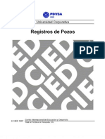 Manual Registros de Pozos CIED-PDVSA