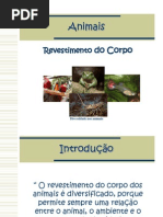 Animais Revestimento Do Corpo