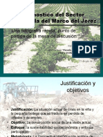 Diagnostico Del Sector Vitivinícola Del Marco Del Jerez, 2011.