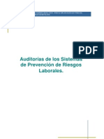 Auditorias de Prevencion de Riesgos