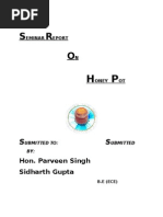Download honeypot by Futr Er RaHul Gupta SN110548845 doc pdf
