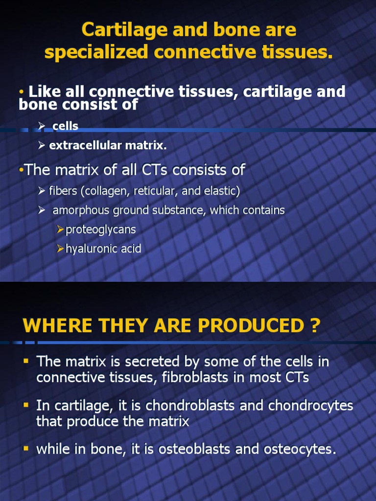 Cartilage and Bone Are Specialized Connective Tissues | PDF | Bone