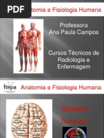 Aula 8a Snc - Itepa 2011