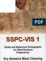 Sspc Visual 1