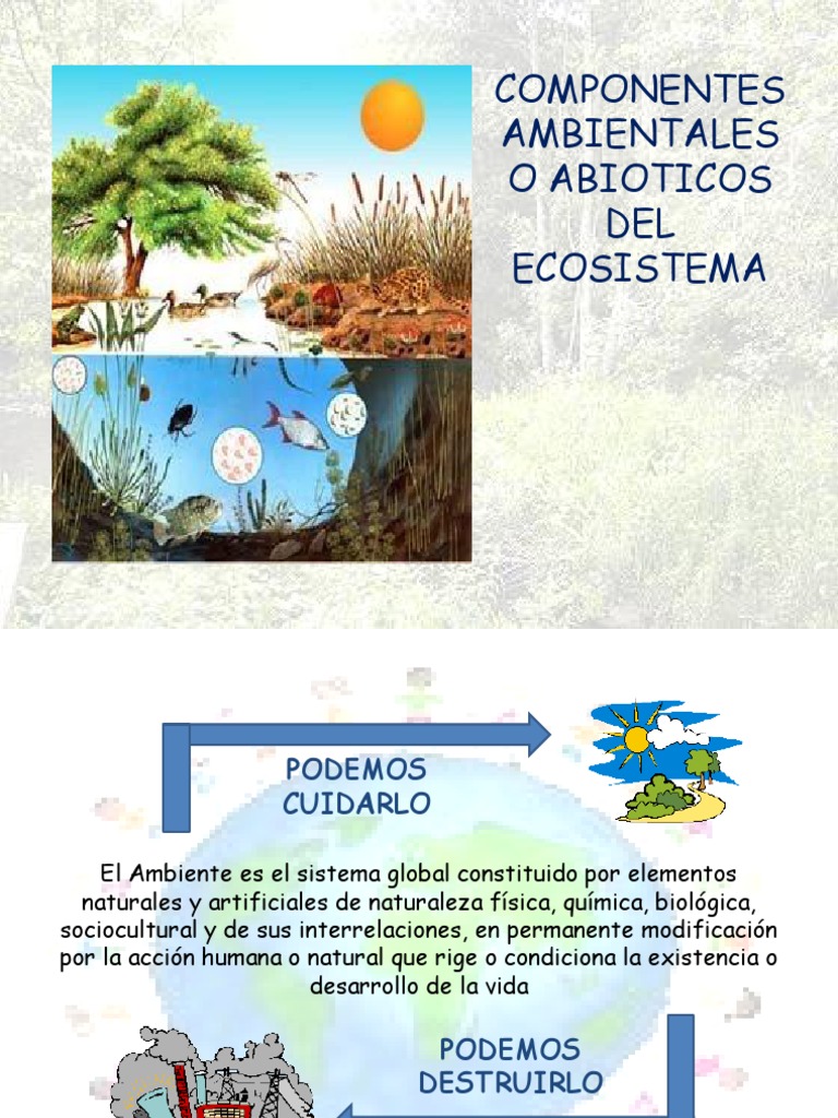 Componentes Abióticos del Ecosistema | PDF | La energía nuclear | Oxígeno