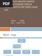 Download Struktur Makro Mikro Dan Mekanisme Kerja Ginjal Serta by Nella DBsuno SN110588145 doc pdf