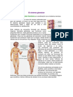 El Sistema Glandular 2012-2013